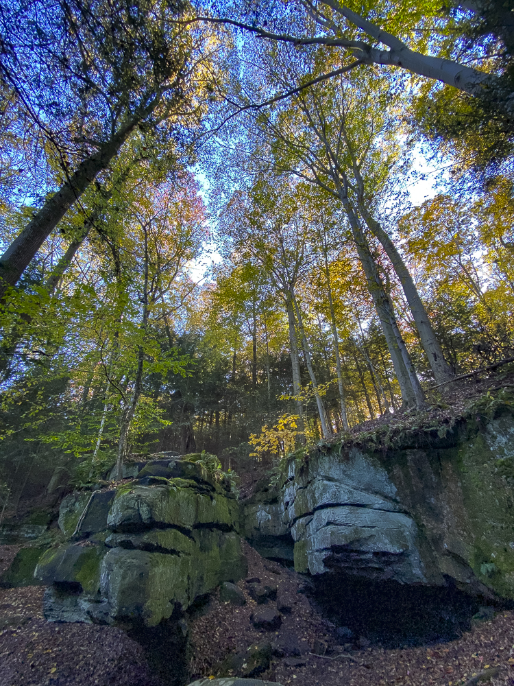 Ledges Trail in fall